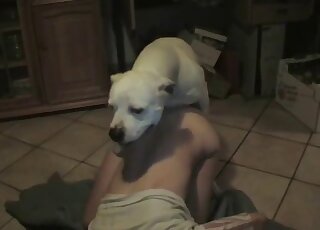 كلب أبيض يمارس الجنس مع زوجته الهواة في المنزل بمفرده XXX شرجي