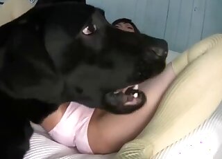 Japanese enjoys dog sperm on face after zoophilia cunnilingus perversions