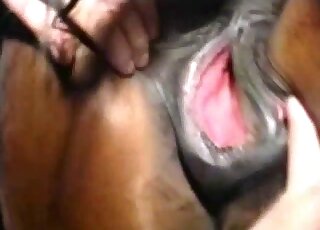 Wet