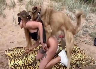 Dog humps blonde beauty in outdoor cam scenes and comes inside her