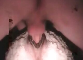 Kinky dude fucks a white sheep during arousing XXX sex scene