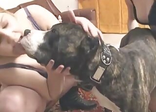 Amateur lesbians share classic zoophilia porn in really hot scenes