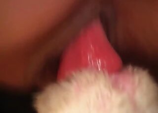 Amateur redhead rides her dog's penis until sperm floods her cunt