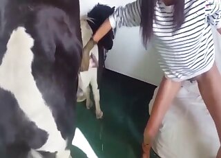 مشهد جنسي مثير مع شخص يحب الحيوانات ويحتاج إلى قضيب حصان في الداخل