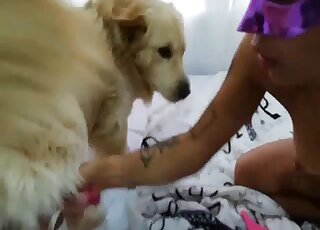 فيلم إباحي رائع يظهر فيه فتاة ترتدي قناعًا أرجوانيًا تمارس الجنس مع الكلاب