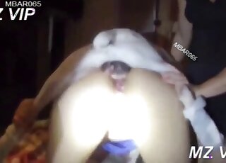 Attractive babe enjoying hardcore loving with a white dog that humps