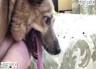 Stacked babe in a black mask fucking her animal on all fours here