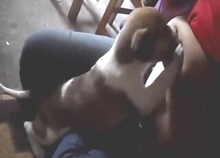 حيوان صغير مثير يرضع تلك الحلمات قليلاً أولاً