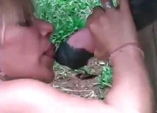 Amazing blowjob skills help zoophile bitch to get cumshots from a horse