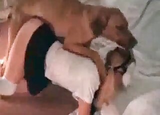 Big brown dog pleases endless lust of a horny zoophile bitch at home