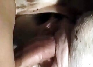 Aroused stud takes a horse from behind and fucks it