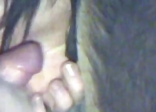 Perverted stud fucks horse from behind in a kinky zoo porn scene