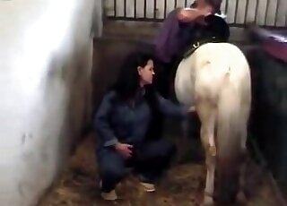 Seemingly timid lady in blue starts tugging on a horse cock here