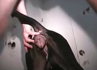 كلب أسود يلعق قضيب الرجل بالكامل بعد ممارسة الجنس العميق في المهبل