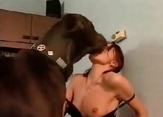 Leggy amateur zoophile teams up with her GF to fuck a dog together