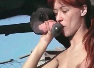 تحصل سويتي على الكثير من المتعة أثناء ابتلاع قضيب الحصان