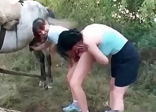 Lesbian chicks lick cunts and go for a huge dong of a horse