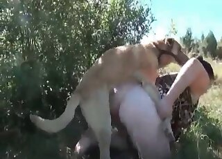 Lättsinnig BBW-hora ger sin feta fitta till sin kåta hund