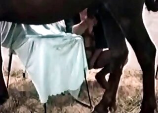 Horan sprider på benen brett för att välkomna hundens kuk inuti