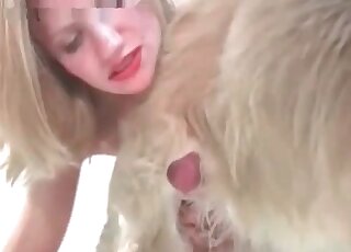 Loira safada fica feliz em receber o pau duro de um cachorro na boca
