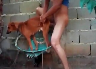 Nasty dude bangs a small dog in a breathtaking zoophilia action
