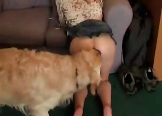 كلب ينضم إلى الزوجين من محبي الحيوانات لممارسة الجنس في حديقة الحيوانات