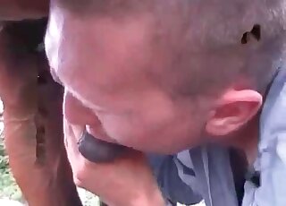 Dude can’t get enough of stallion’s cock in beastiality porn video