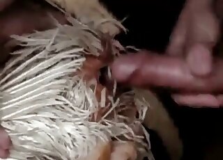 Perverted male fucks a helpless hen and enjoys it to the maximum