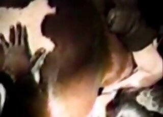 زوجتي تستمتع كثيرًا باللعب مع الخيول في حديقة الحيوان الإباحية القديمة