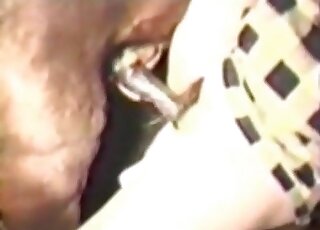 Filthy slut gets excited by rough zoo sex with a horny horse