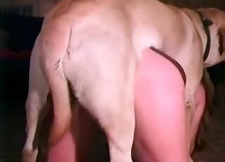 Dog fucks an aged slut and stuffs its cock in her filthy mouth