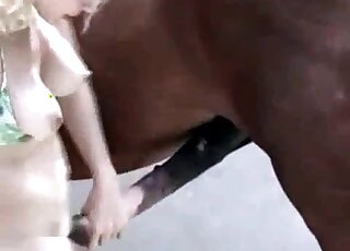 Massive shaft of a horse gets sucked and stuffed inside wet pussy