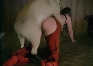 كلب يمارس الجنس بشكل رائع مع ربة منزل تتوق إلى القضيب في الداخل