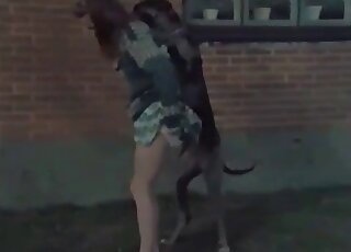 Strong dog fucks a hot wife outdoors without getting exhausted