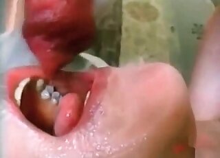 Awesome slut opens her filthy mouth wide to deepthroat her dog’s dick