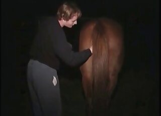 يأتي المنحرف الوقح ليمارس الجنس مع حصان ويستمتع بذلك على أكمل وجه