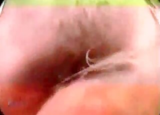 Fluffy dog's erected pecker makes horny babe moan during sex