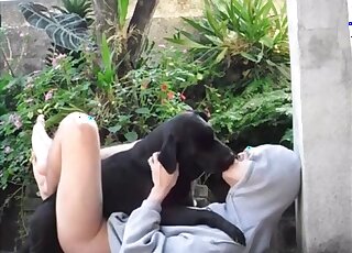 Guy strokes his pet dog and makes her have a rest on his cock