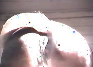 Horse gets fucked rough from behind by a horny zoophile guy