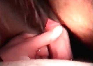 مشهد إباحي من حديقة حيوان عن قرب لرجل غريب يمارس الجنس مع حصان بجنون