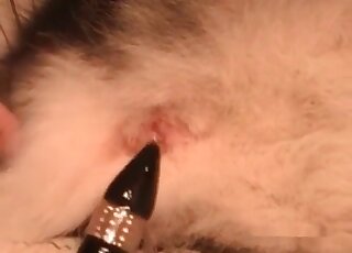 Dirty-minded pervert teases his dog by intesne toying with a dildo