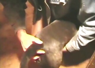 Zophile guy finger fucks his trained dog in a wild zoo porn scene