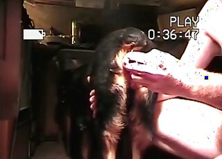 Crazy pervert teases his dog by fingering and deep toying