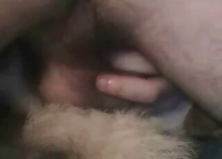 Zoo porn addicted dude fills his female dog’s pussy with his cock