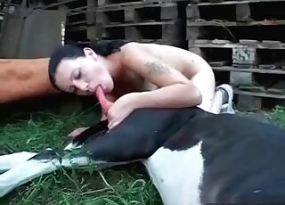 Naked wife looks so excited to get licked and pounded by a dog