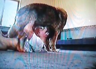 زميل نردي يعطي مصًا لكلبته للحصول على بعض الاسترخاء