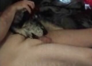 رجل شهواني للغاية يحصل على مص قضيبه المنتصب من قبل كلبه المساعد