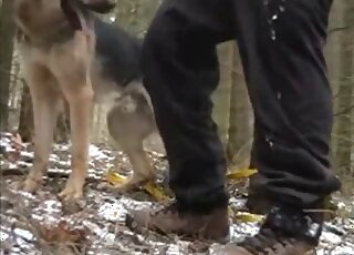 Open-minded zoophile dude fucked on all fours by a kinky animal