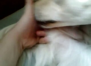 Fisting and fingering featured in a bestiality foreplay porn movie