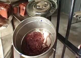 Recently captured Japanese slavegirl is going to enjoy animal sex